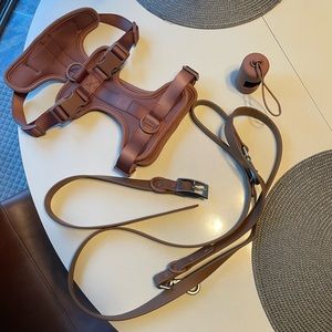 Wild One Harness Set